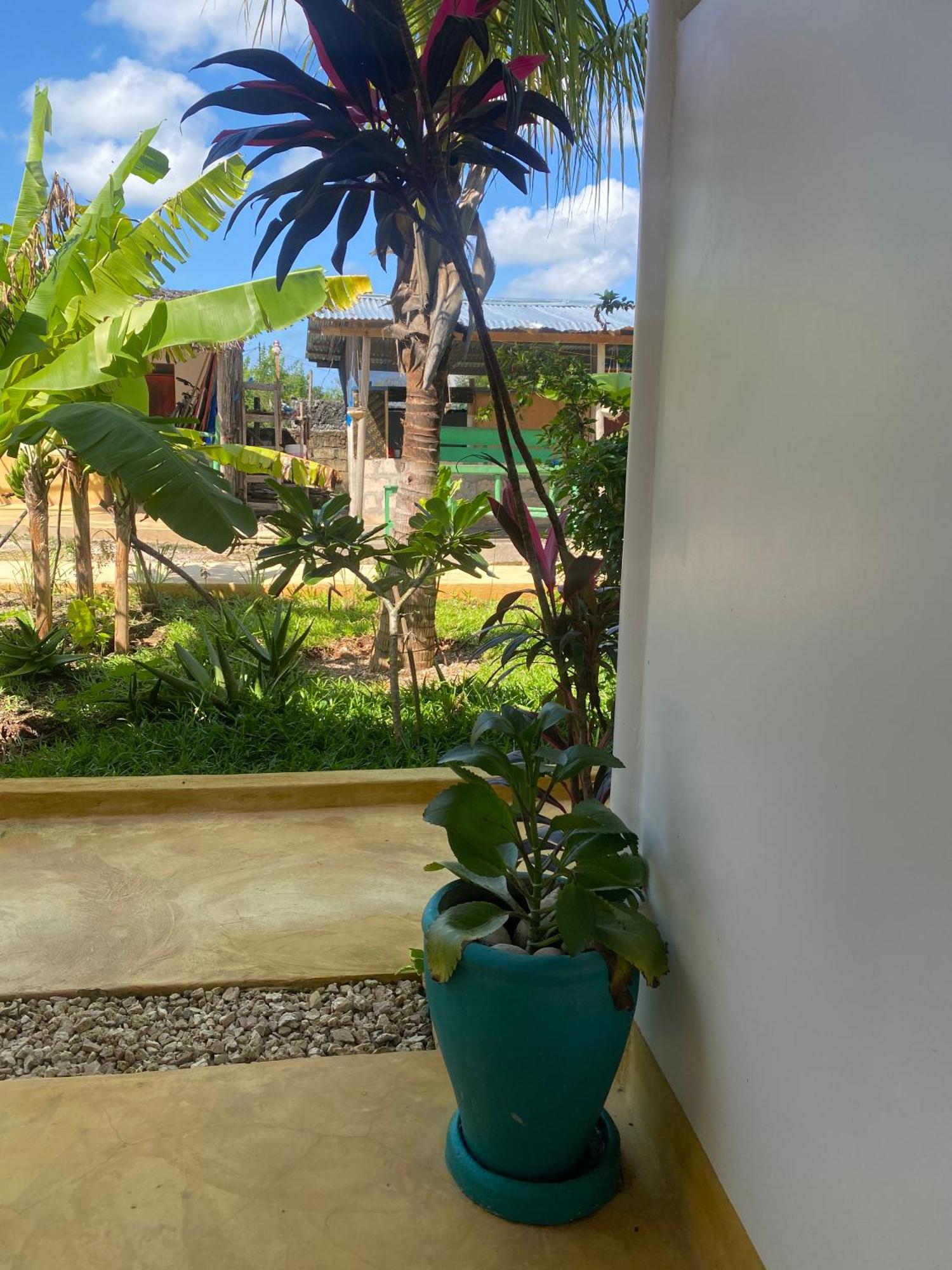 Bed & Breakfast Shanti Yoga & Restaurant Kibigija